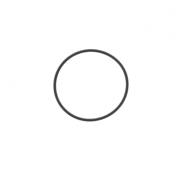 47092_O-Ring